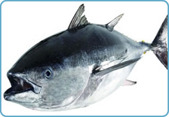 こだわりその5 釣上げ